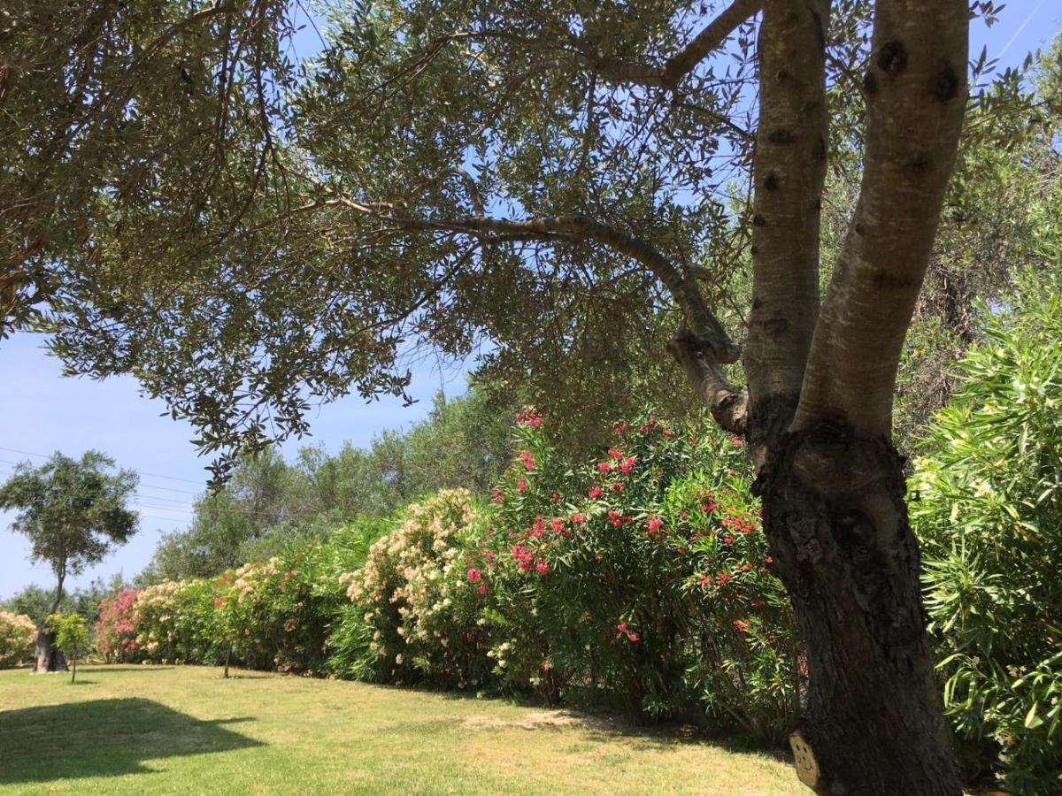 Villa Gecko, Arillas Kavvadades Экстерьер фото